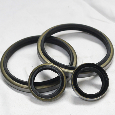 Sigillo per olio di polvere Dkb personalizzato 50*60*7/10 Sigillo di gomma per sigillo idraulico garantito