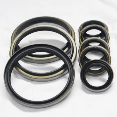 Black DKB 80-94-8/11 NBR Metal Dust Wiper Oil Seal Personalizzato per prestazioni ottimali