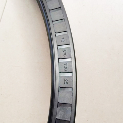 Intervallo di durezza 20-90 Shore A NBR FKM Rubber Oil Seal 600*640*20 per tutte le industrie
