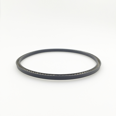 PTFE/UHMWPE/PEEK Anello di tenuta idraulica ad energia di molla adatto a tutti i settori