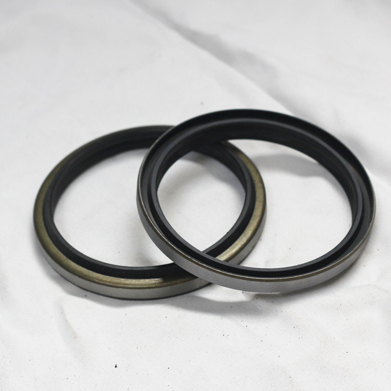 SEALS DKB Scraper idraulico Wiper di polvere sigilli resistenza alla tensione per tutte le industrie