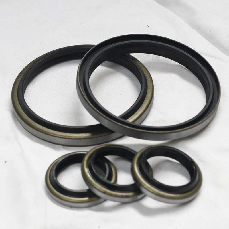 Sigillo per olio di polvere Dkb personalizzato 50*60*7/10 Sigillo di gomma per sigillo idraulico garantito