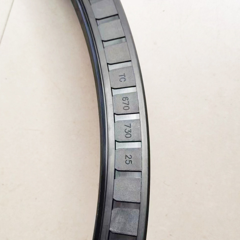 670*730*25 TC sigilli per olio realizzati in gomma NBR FKM per la resistenza alle alte temperature